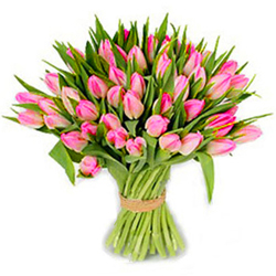 Букет розовых тюльпанов topflora.ru